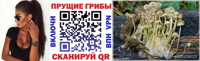 Галлюциногенные грибы MAGIC MUSHROOMS  Старая Русса 